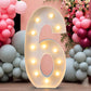 LIGHT UP NUMBER 4FT